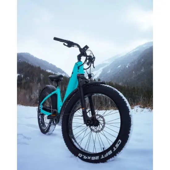 Velotric Adult Nomad 1 Plus 26" Step-Through Fat Tire Electric Cruiser Bike image {5}