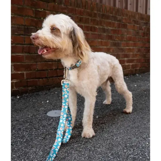 Country Brook Petz Premium Dog Collar - Tasty Collection image {2}