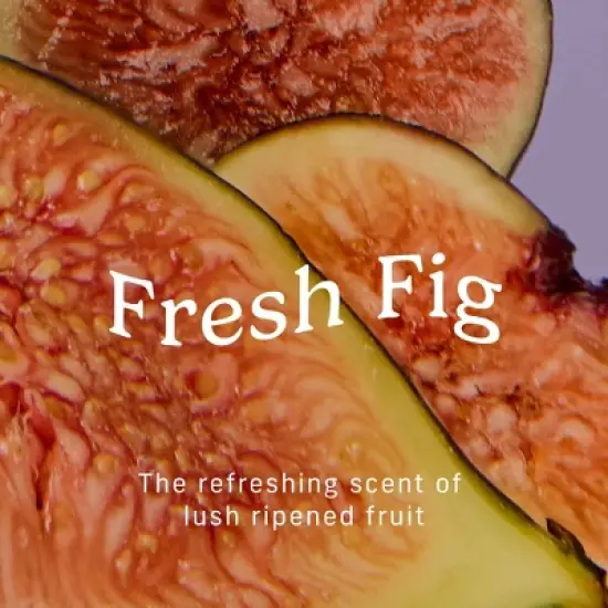 Niches & Nooks Intimate pH Balanced Gentle Feminine Wash - Fresh Fig -7 fl oz image {4}