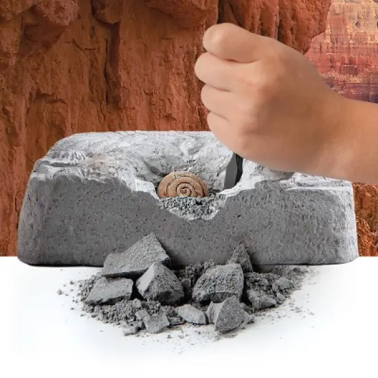 Discovery #Mindblown Colossal Fossil Dig 15pc Excavation Kit image {2}
