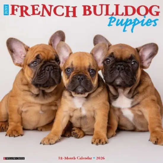 Willow Creek Press 2026 French Bulldog Puppies Wall Calendar image {5}