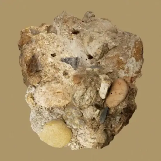 Car the Garden - Absence - incl. Booklet. (CD) image {1}