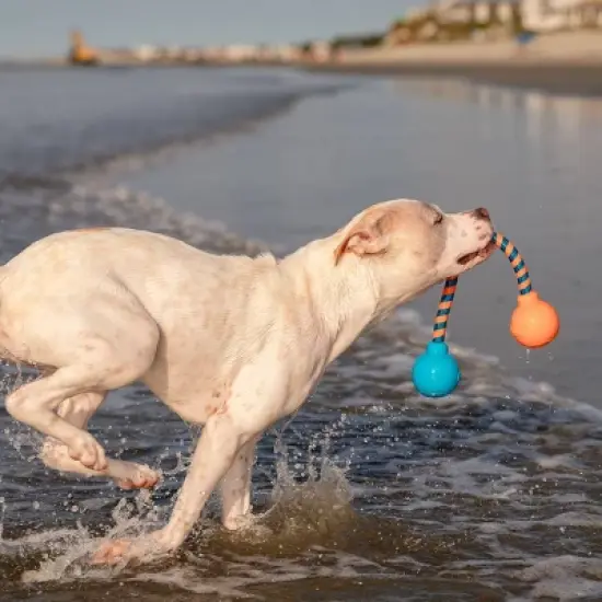 GURU 17.5" Squeaking Dog Rope Toy image {8}