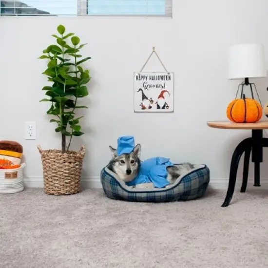 Midlee Scrubs Dog Costume (Medium) image {2}