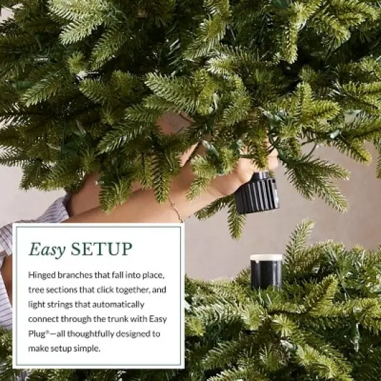 Balsam Hill 9' Color Clear LED Classic Blue Spruce Tree image {7}