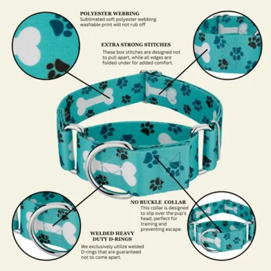 Country Brook Petz HossFit Jr Wide Martingale Dog Collar - Dog's Life Collection image {5}