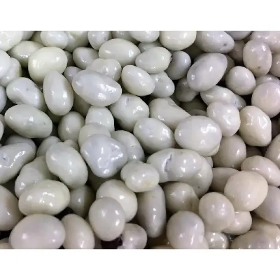 Greek Yogurt Covered Raisins by Its Delish image {3}