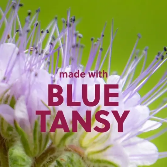 Tree Hut Enchanted Jasmine Shea Sugar Body Scrub &nbsp;- 18oz image {8}