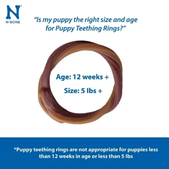 N-Bone Puppy Teething Rings Pumpkin Flavor Rawhide Alternatives and Dental and Hard Chews Dog Treats - 7.2oz image {2}