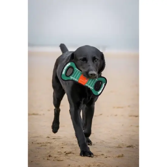 NCAA Miami Hurricanes Field Dog Toy image {1}