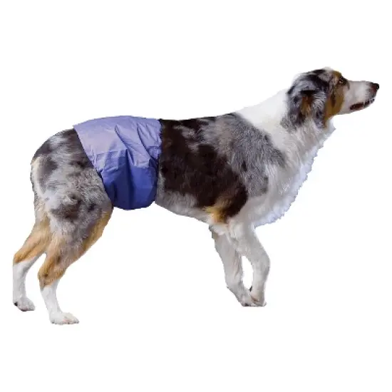 PoochPad Reusable Male Wrap Diapers for Pets image {2}