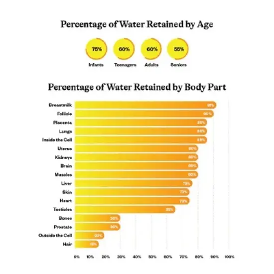 Seeking Health Optimal Electrolyte Sticks Orange Flavored image {8}
