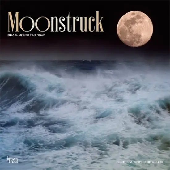BrownTrout Moonstruck 2026 12"x24" Hanging Square Wall Calendar Plastic-Free image {9}