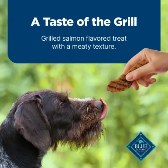 Blue Buffalo Nudges Grillers Salmon Flavor Dog Treats - 16oz image {5}