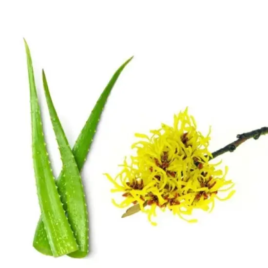 BEVEL Men's Face Moisturizer - Tea Tree Oil and Vitamin C - 4 fl oz image {3}