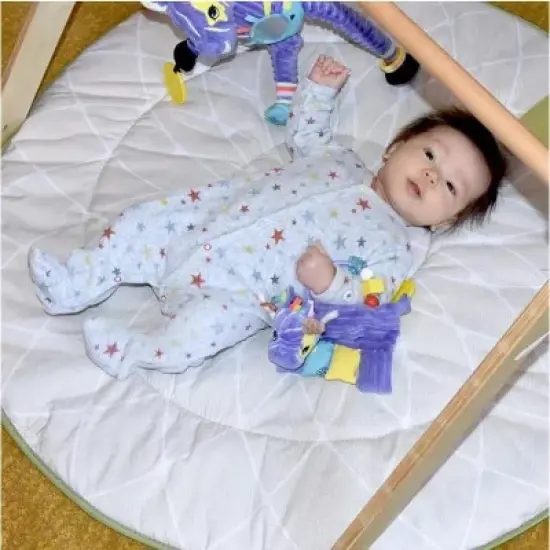 TriAction Toys Les Delingos Baby Activity Rattle | Kiprokos the Zebra image {2}