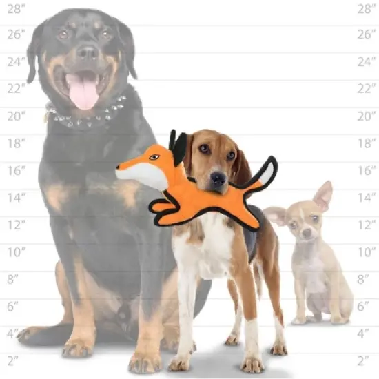 Tuffy Jr. Fox Dog Interactive Toy image {2}