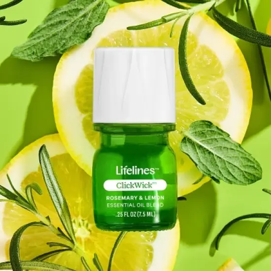 Lifelines Planter Diffuser - Succulent image {5}