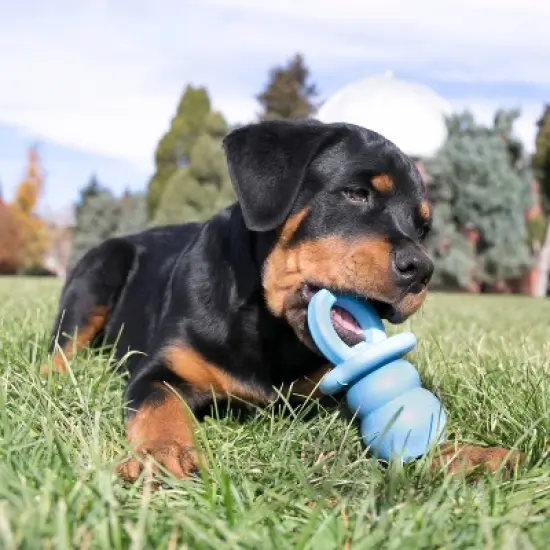 KONG Puppy Binkie Dog Toy - S image {1}