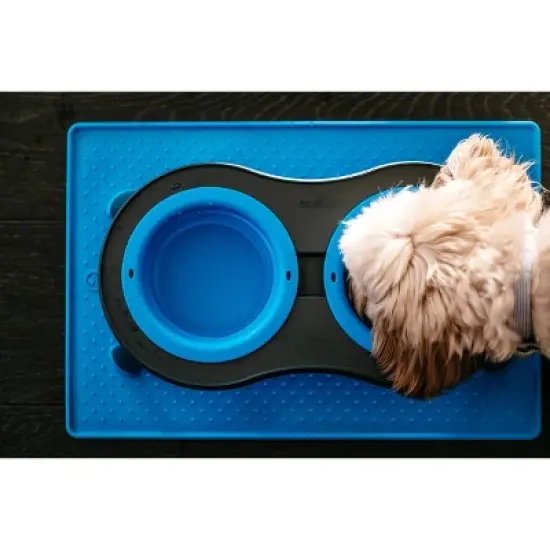 Dexas Double Elevated Feed - Blue image {4}