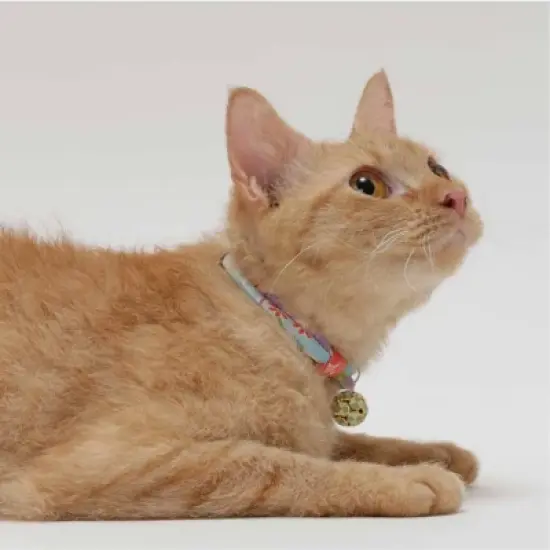 Necoichi Cherimen Cat Collar with Clover Bell image {3}