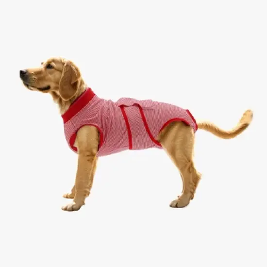 Unique Bargains Pet Recovery Suit Medium Red White 1 Pc image {1}