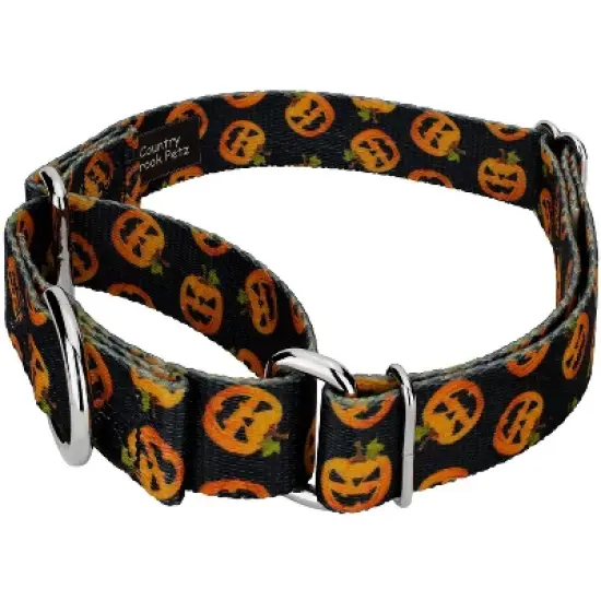 Country Brook Petz Happy Jack Martingale Dog Collar and Leash image {2}