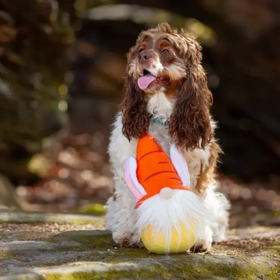 Midlee Easter Bunny Gnome Dog Toy image {4}
