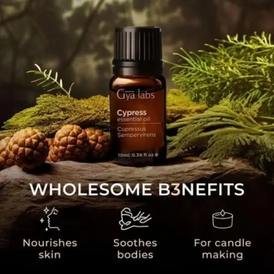 Cypress Essential Oil - 0.34 Fl Oz for Diffuser -Gya Labs  Cypress Oil for Aromatherapy & Candle Making Scent image {4}