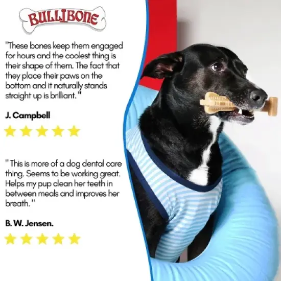 Bullibone Superbrush Chew Toy for Small Dogs image {6}