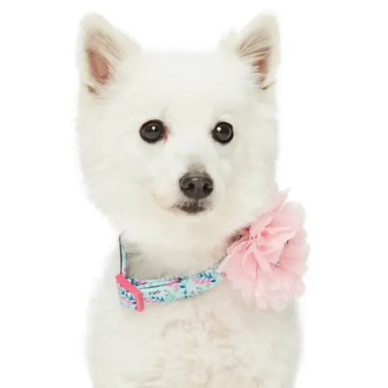 Blueberry Pet Floral Power Designer Dog Collar with Detachable Pink Peony image {4}
