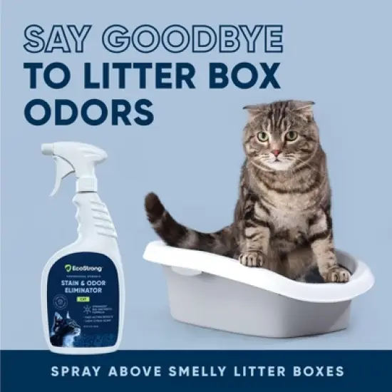 Cat Stain and Odor Eliminator image {10}