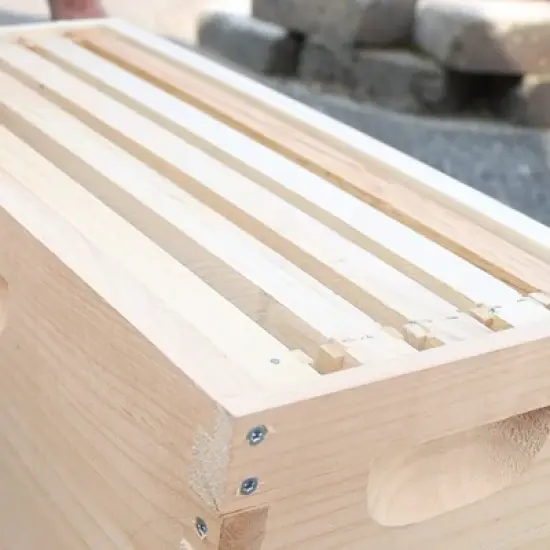 Lehman's Beekeeping Medium Nuc Box, Assembled Super or Brood Box with Beeswax Foundation Frames for 5 Frame Honeybee Hives, Amish Made image {1}