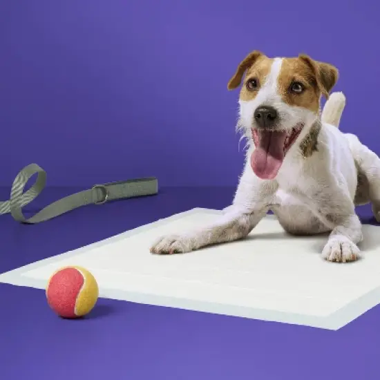 Puppy and Adult Dog Extra Absorbency Heavy Duty Training Pads - L - 25ct - up&up&trade; image {1}