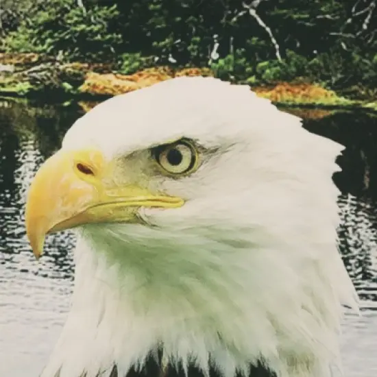 Commonwealth Seascapes Light Filtering Enhance Living Space with Satiny Look Grommet Outdoor Panel Pair Indigo image {3}