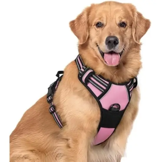 rabbitgoo Dog Harness No Pull image {7}