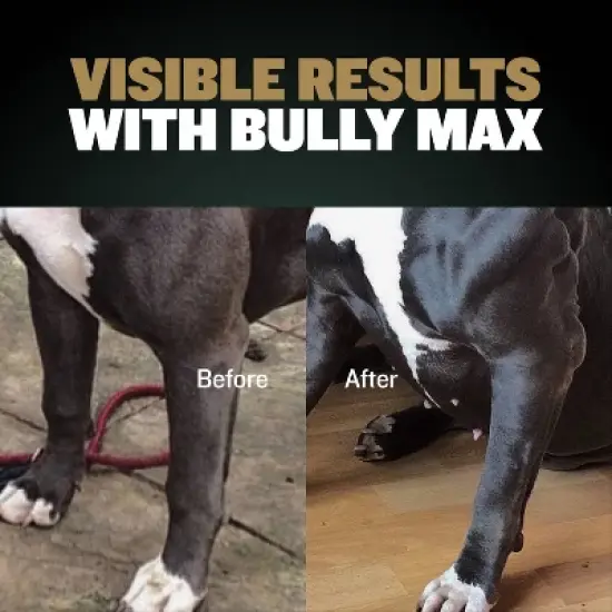 Bully Max Pro Series Power Chews for Muscle Gain image {3}