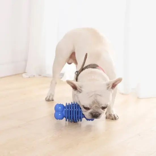 PetMedics Soothing & Wellness Durable Chew Aid with Fun & Calming Sounds for Medium, Large, Moderate and Tough Chewing Dogs image {5}