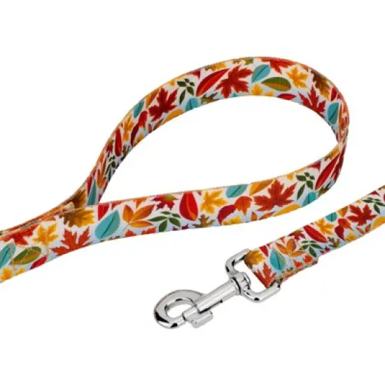 Country Brook Petz Deluxe Brisk Autumn Dog Collar and Leash image {4}