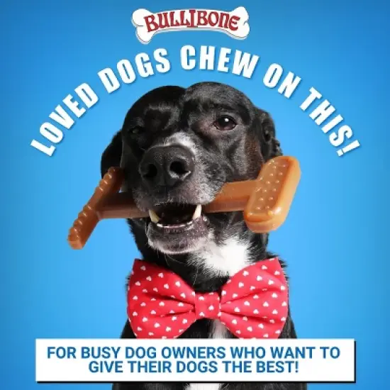 Bullibone Chew Toy for Small Dogs image {4}