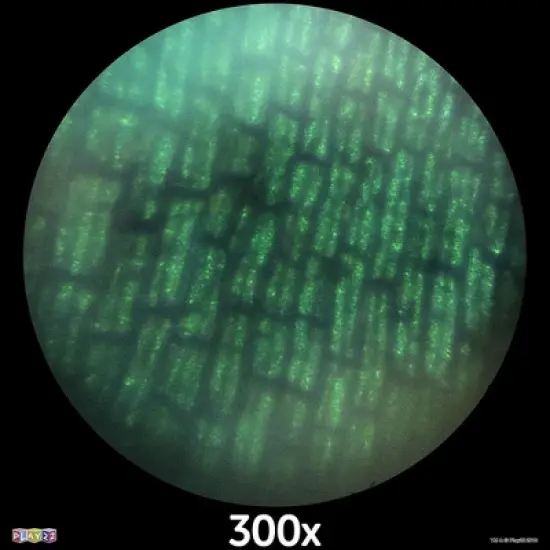 50PCs Microscope Kit Set in Carrying Box for Kids Educational Science Lab with 120X - 1200X Microscope Slides Specimens -Play22usa image {7}