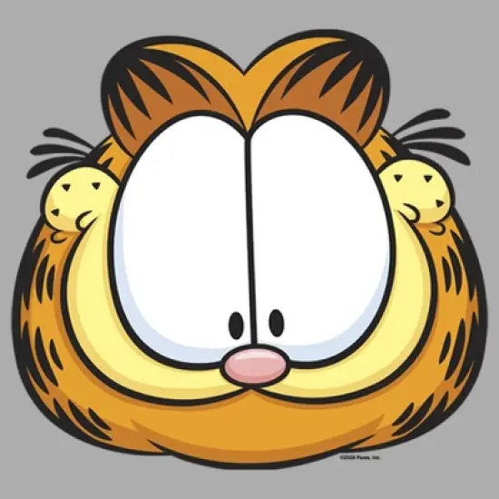 Boy's Garfield Character Big Face T-Shirt image {1}