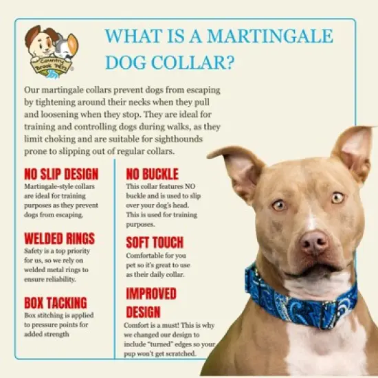 Country Brook Petz HossFit Jr Wide Martingale Dog Collar - Paisley Collection image {5}