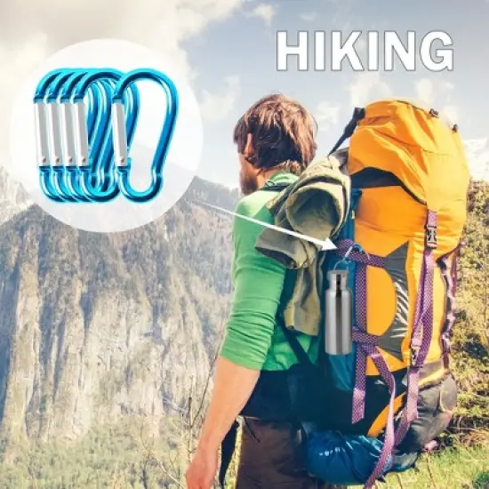 Unique Bargains Aluminum Hiking D-Ring Keychain Carabiner Hook Teal 1.6" x 0.8" x 0.16" 5 Pcs image {5}