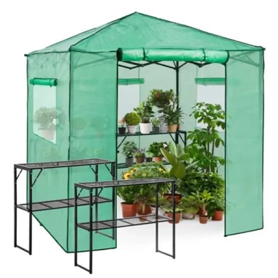 EAGLE PEAK 7'x7' Pop up Greenhouse with 2 Foldable Shelves, Zipper Entry Door and 3 Mesh Windows, Green image {7}