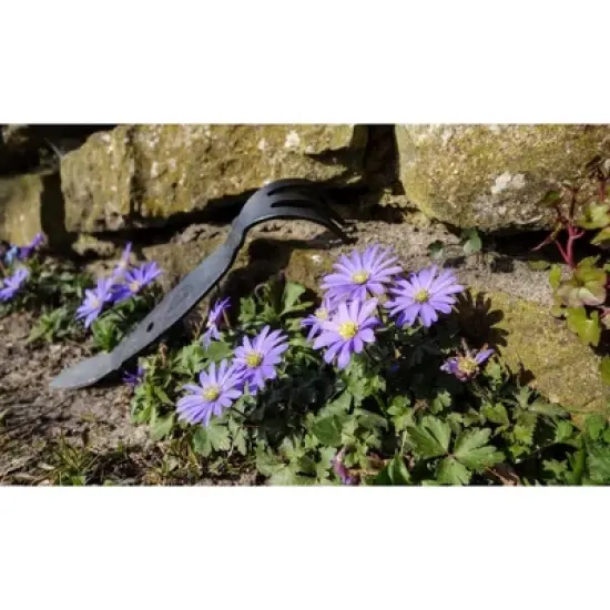 DeWit Ninja Cultivator &ndash; Precision Tool for Weeding & Soil Aeration image {4}