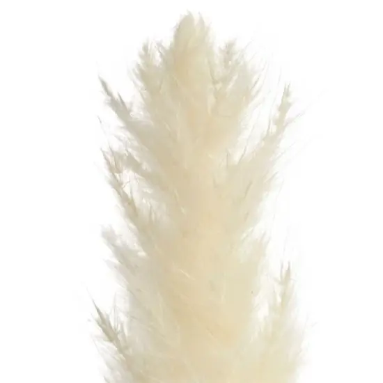Juvale 30 Pack Dried White Pampas Grass for Vase, Wedding, Rustic-Style Farmhouse Decor, Boho-Themed Home Decor, 17 In image {6}