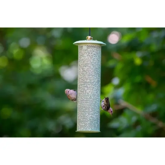 Birds Choice Metal Modern Farmhouse Finch Tube Bird Feeder Sage Green image {3}
