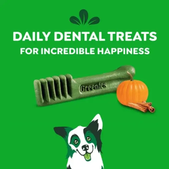 Greenies Pumpkin Spice Flavor Petite Dental and Hard Chews Dog Treats - 6oz/10ct image {6}