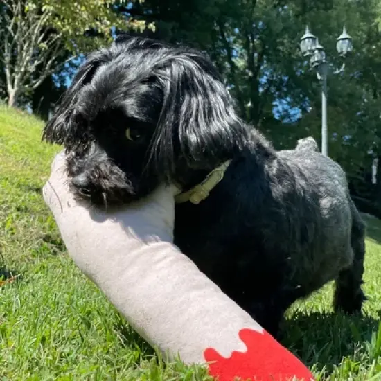 Zombie Arm Dog Toy Funny Stuffed Chew Plush for Puppies - Crazy Dog Dog Toy For Halloween Season image {2}